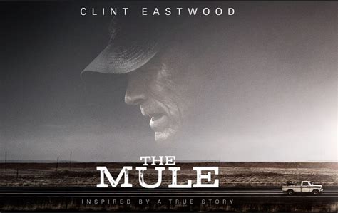 Giorgio's Tales: THE MULE