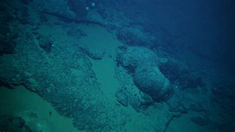 Surprise undersea volcano could offer unique window into Earth's ...