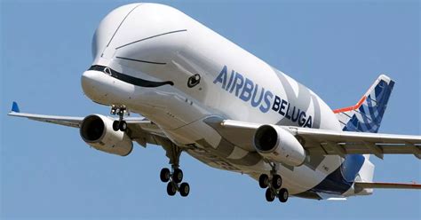 LIVE: Updates as this smiley Airbus ‘Beluga whale’ plane heads towards ...