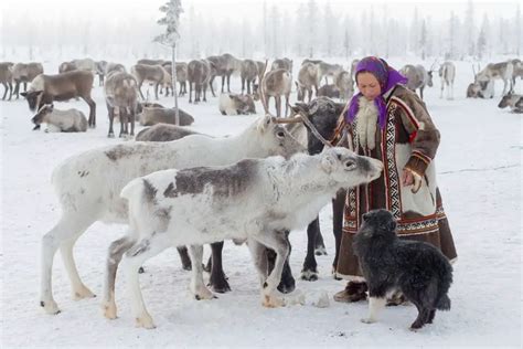 Yamal Peninsula Travel Guide - How to Visit with The Nenets