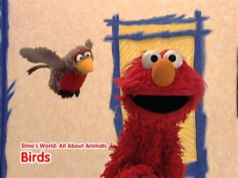 Sesame Street: Elmo's World: All About Animals - סרטים ב-Google Play