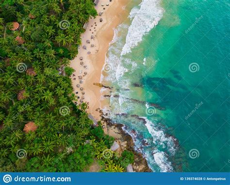 Romantic Sunset on a Tropical Beach with Palm Trees Stock Photo - Image of sunbeam, horizon ...