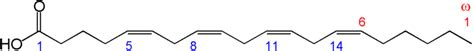 Arachidonic acid - ARA | Nutrition, deficiency & diseases