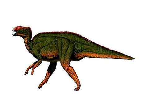 Hadrosaurus | Description, Size, Fossil, Diet, & Facts