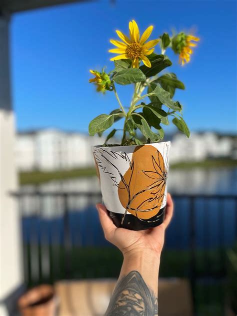 Sunflower pot | Line art, Art style, Sunflower