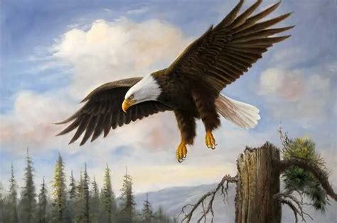 American Bald Eagle Mountain Flying Large Oil Painting-in Painting & Calligraphy from Home ...