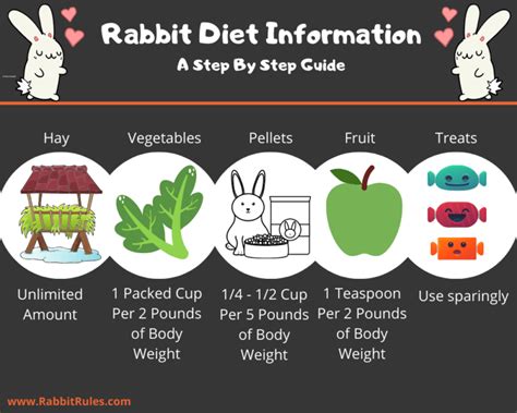 Best Diet For Rabbits | Healthy Foods | Pellets | Veggies | Hay | Amount