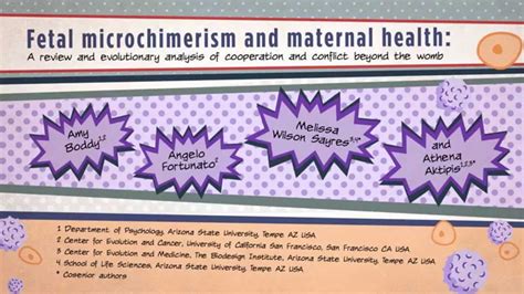 BIOESSAYS: Fetal microchimerism and maternal health - YouTube