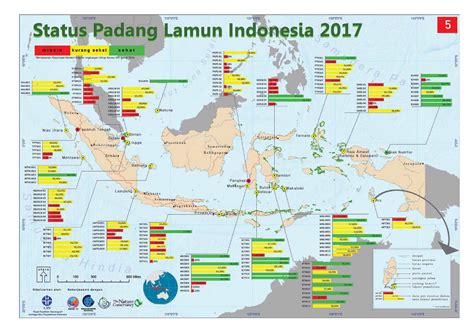 Lamun dan Dugong untuk Bahari yang Lebih Lestari – Denai Ghozaliq