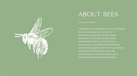 Bee Culture on Behance