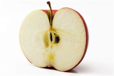 Half apple stock photo. Image of freshness, ripe, vitality - 14368878