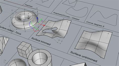 Learn the fundamentals of 3D modeling with Rhinoceros and feel confident to start modeling your ...