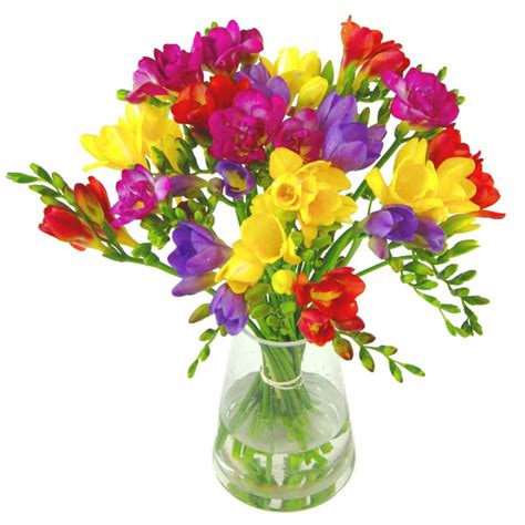 Freesia Flowers Delivered for Christmas | Clare Florist Blog