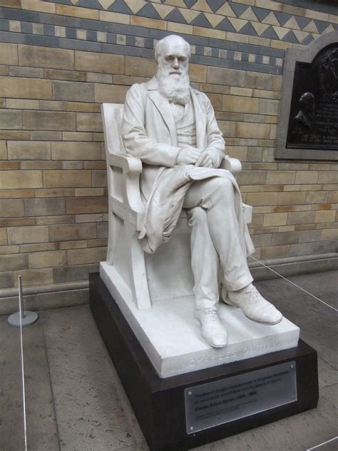 File:Charles Darwin statue, Natural History Museum, London - DSCF0388 ...