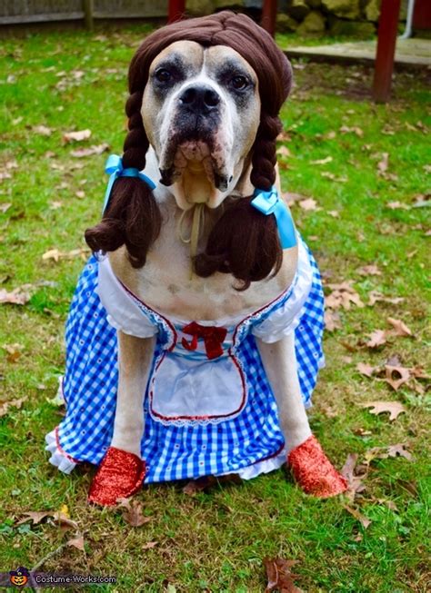 Dorothy Dog Costume