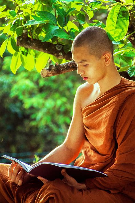 Royalty-Free photo: Man in brown kasaya reading book under tree at daytime | PickPik