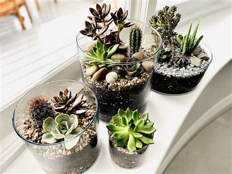 10 terrarium ideas for a beautiful plant display | Real Homes