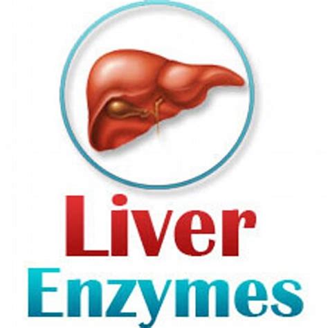 Liver Enzymes, Causes of Elevated or High Liver Enzymes