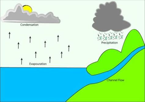 How are the terms evaporation and condensation related? | eNotes