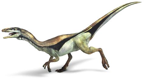 Compsognathus Dinosaur Information, Dinosaur Facts, Spinosaurus, Eat Meat, Prehistoric Animals ...