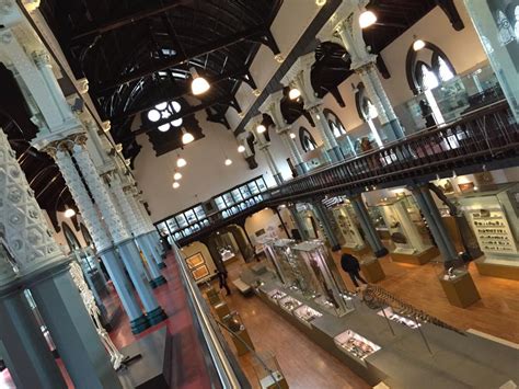 hunterian-museum-glasgow - Glasgow With Kids