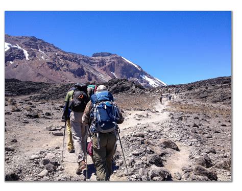 Lemosho Route Kilimanjaro & Success Rates - Climbing Kilimanjaro