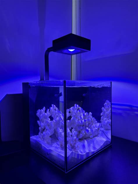 New 15 Gallon Setup | Reef2Reef