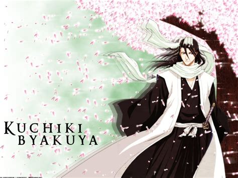 Bleach Byakuya Wallpapers - Top Free Bleach Byakuya Backgrounds ...