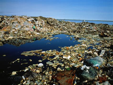 Polluted Oceans