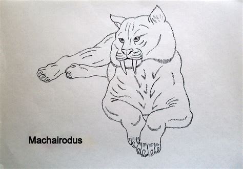 Machairodus by Javor911 on DeviantArt