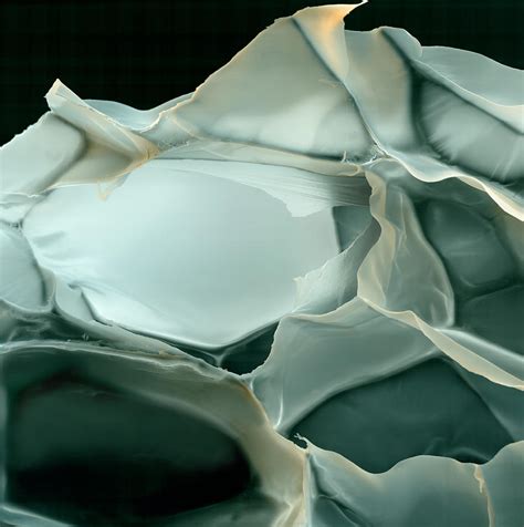 Sem Of Styrodur Insulation Photograph by Meckes/ottawa - Fine Art America