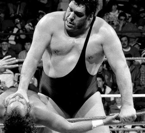 Andre the Giant vs Jake Roberts | Andre the giant, Bobby heenan, Dallas cowboys