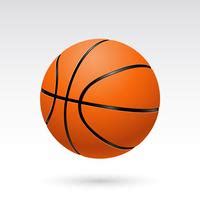 Basket Ball Vector Art, Icons, and Graphics for Free Download