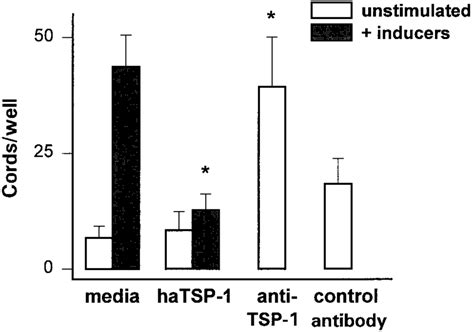 Thrombospondin-1 inhibits cord formation by capillary en | Download ...