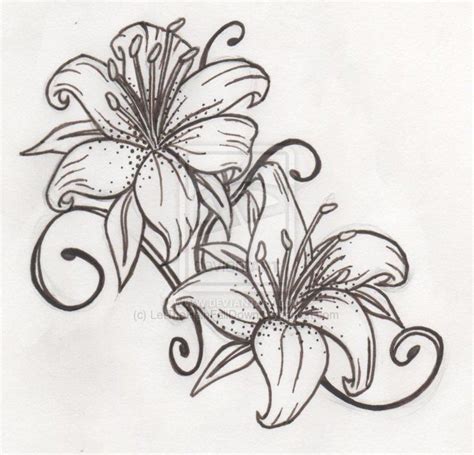 Tiger Lily Flower Tattoo Outline - Viraltattoo