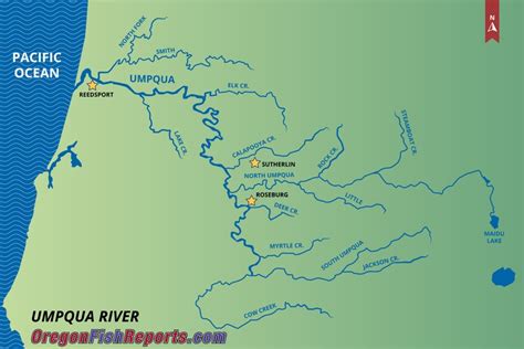 Umpqua River - Fish Reports & Map