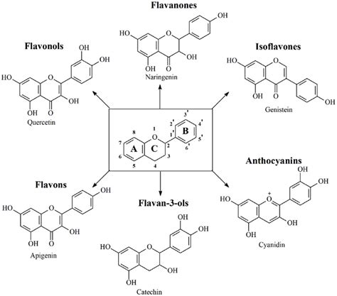 General structure of flavonoids and their subclasses. | Download ...