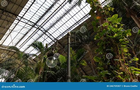 Atocha Railway Station Interior Editorial Photography - Image of madrid, atocha: 246759307