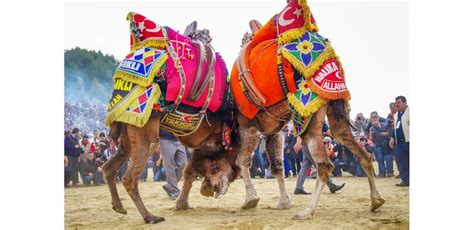 Turkish Culture | Turkish Festivals | Festivals in Turkey