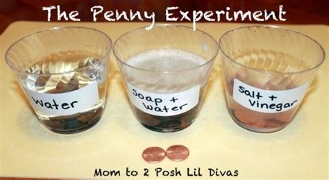 Dollar Store Experiments for Kids | Science experiments kids, Science experiments, Science for kids