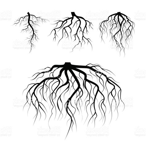 Roots Vector at Vectorified.com | Collection of Roots Vector free for ...