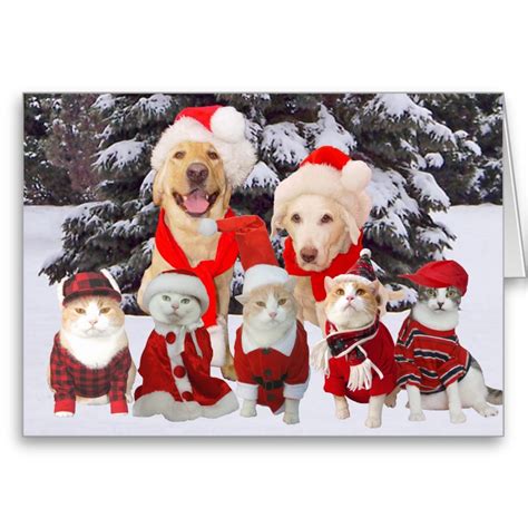 Customizable Funny Pets Christmas Card | Pet holiday cards, Dog ...