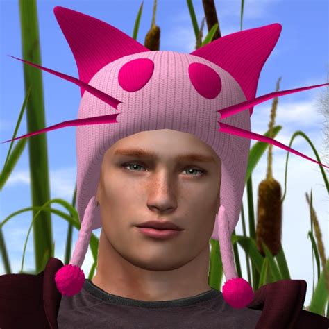 Second Life Marketplace - [[BB]] Cat Hat (pink)