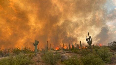 Burned acreage up sharply, as Arizona 2020 wildfire season winds down | Prescott eNews