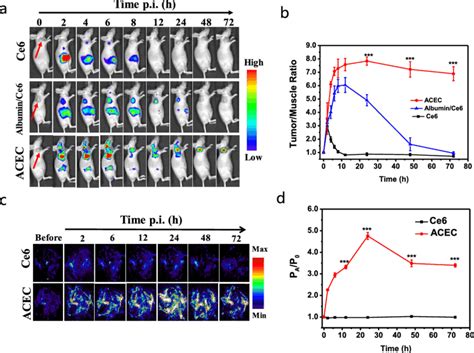 In vivo fluorescence imaging and photoacoustic imaging (PA) imaging of... | Download Scientific ...