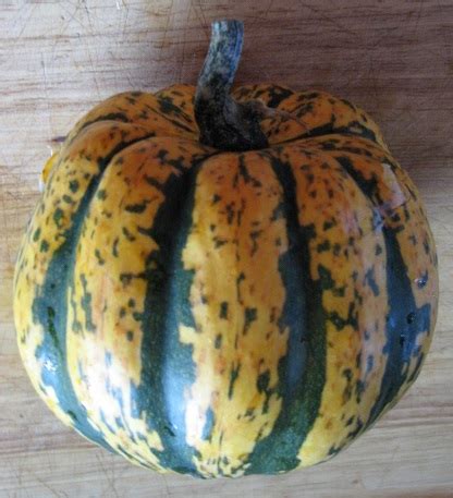 Roasted Sweet Dumpling Squash – Crazy for Gardening