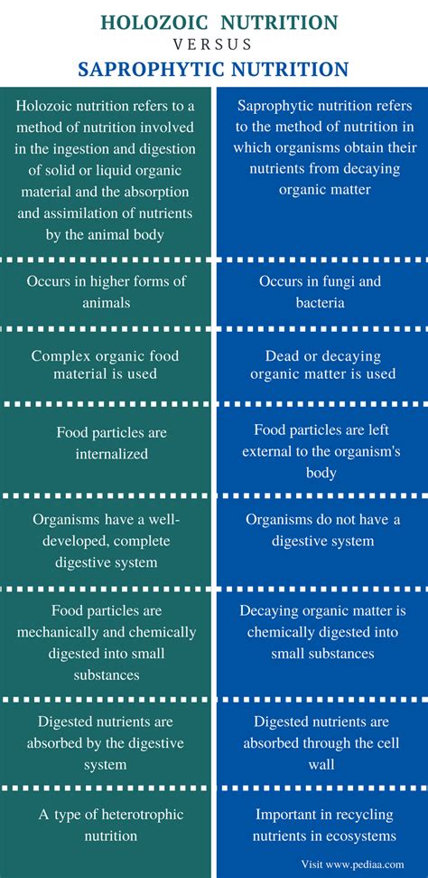 Difference Between Holozoic and Saprophytic Nutrition | Definition, Mechanism, Examples ...