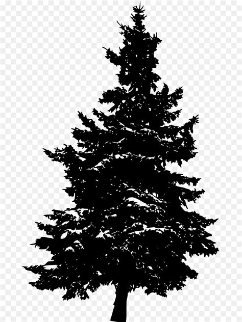 Clip art Pine Tree Fir Vector graphics - tree png download - 800*1532 ...