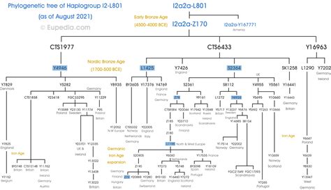 Phylogenetic trees of Y-chromosomal haplogroups - Eupedia