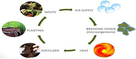 Methods Of Preparing Compost Manure